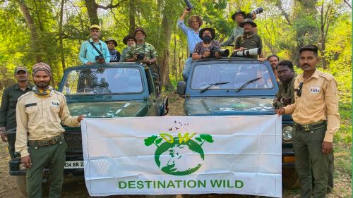 Tadoba-Andhari Tiger Reserve Wildlife Photography Workshop (16th to 19th May, 2023)