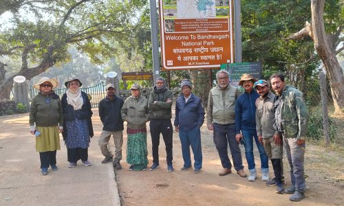 Bandhavgarh Wildlife Photography Workshop (10-13 November, 2024)