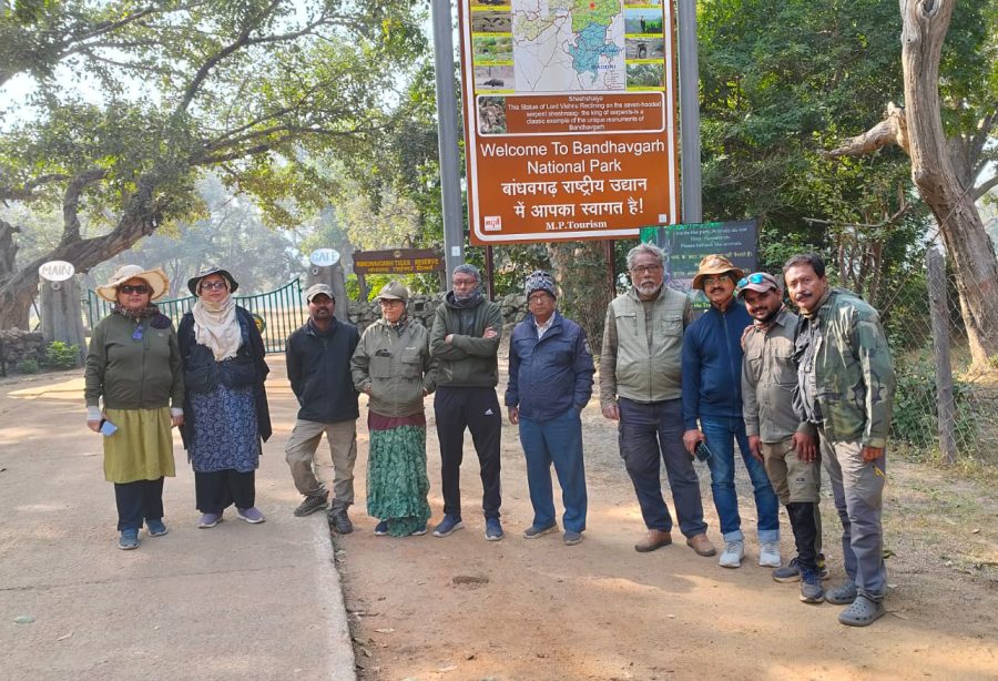 Bandhavgarh Wildlife Photography Workshop (10-13 November, 2024)
