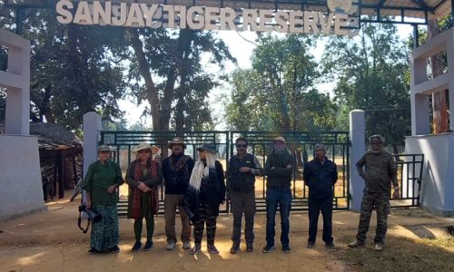 Sanjay-Dubri Tiger Reserve Wildlife Trip (13-15 November, 2024)