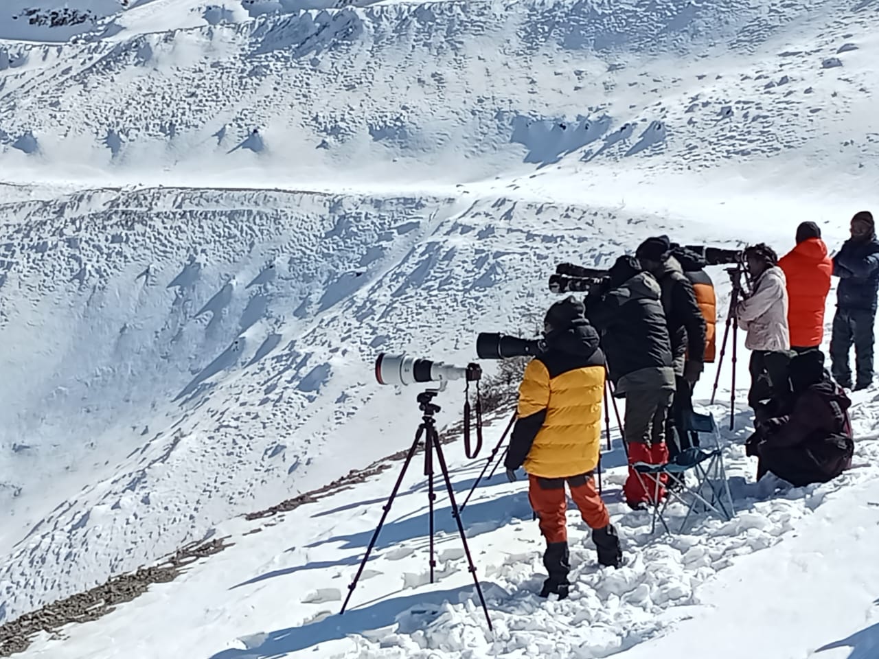 Snow leopard expedition of Destination Wild