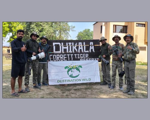 Jim Corbett Dhikala Wildlife Photography Tour (4-9 May, 2025)