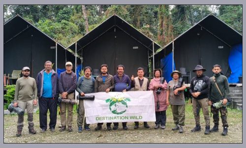 Mishmi Hills Birding Trip (25-30 March, 2025)
