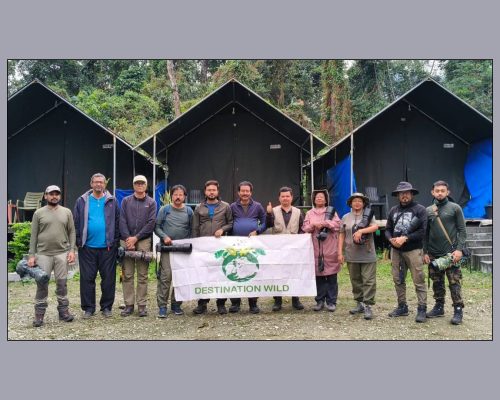 Mishmi Hills Birding Trip (25-30 March, 2025)