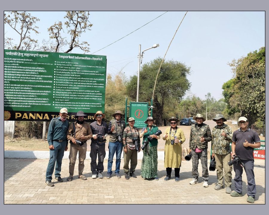 Panna Wildlife Trip (6-9 April, 2025)