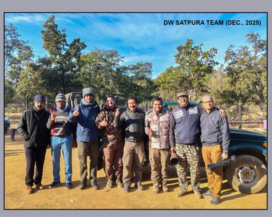 Satpura National Park Wildlife Photography Tour (18-21 December, 2025)