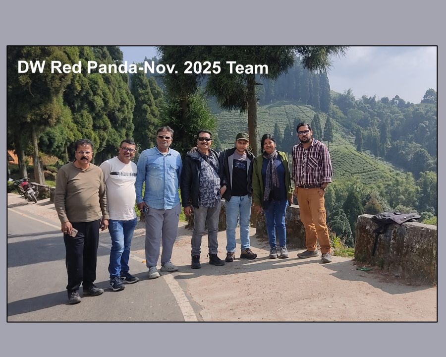 Red Panda Photography Expedition (15-19 November, 2025)