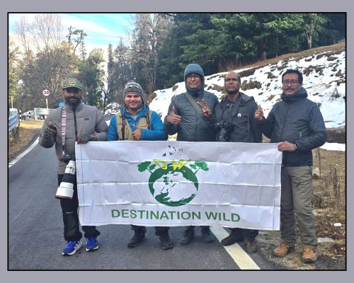 Chopta-Mandal-Uttrakhand Bird Photography Tour (4-11 February, 2026)