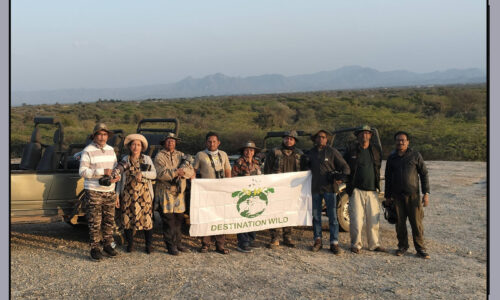 Mount Abu & Jawai Wildlife Photography Tour (31 January – 03 February, 2026)