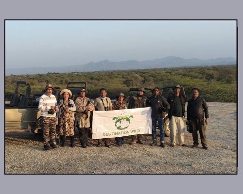 Mount Abu & Jawai Wildlife Photography Tour (31 January – 03 February, 2026)