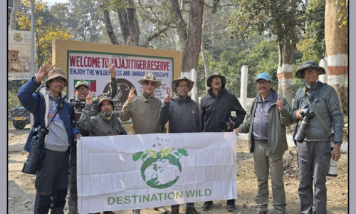 Rajaji National Park Wildlife Photography Tour (12-15 February, 2026)