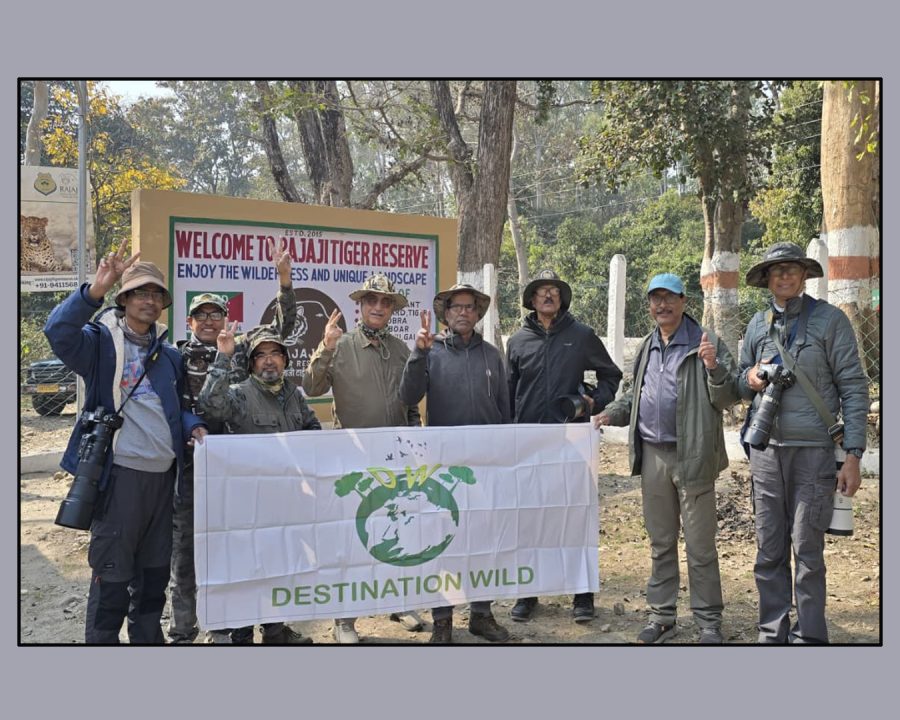 Rajaji National Park Wildlife Photography Tour (12-15 February, 2026)