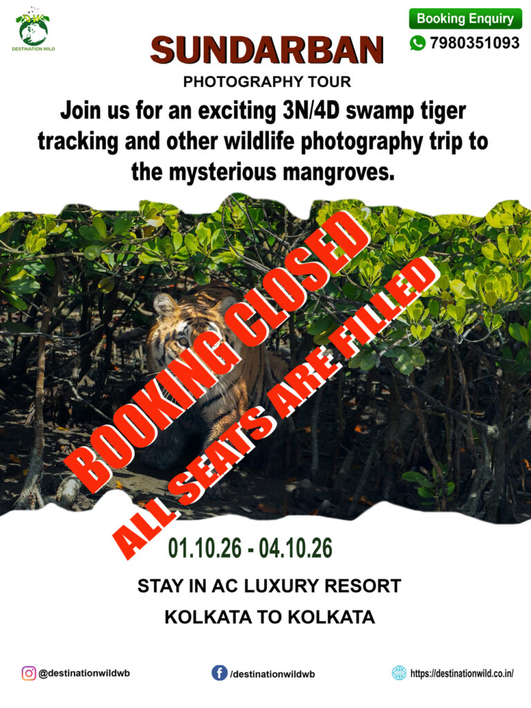 Sundarban