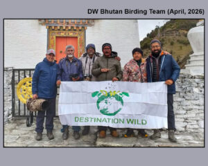 Bhutan Birding, Destination Wild