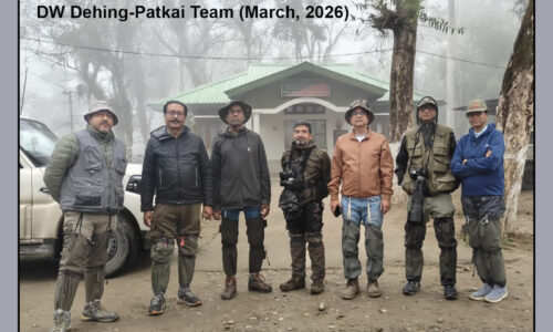 Maguri – Dehing Patkai Bird Photography Tour (5-8 March, 2026)