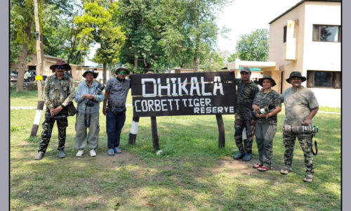 Jim Corbett Dhikala Wildlife Photography Tour (5 – 9 May, 2026)