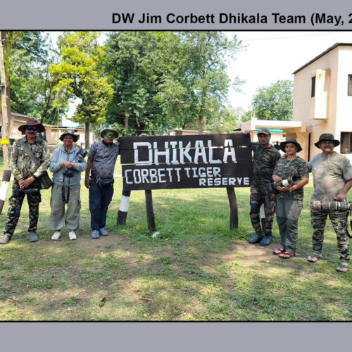 Jim Corbett Dhikala Wildlife Photography Tour (5 – 9 May, 2026)