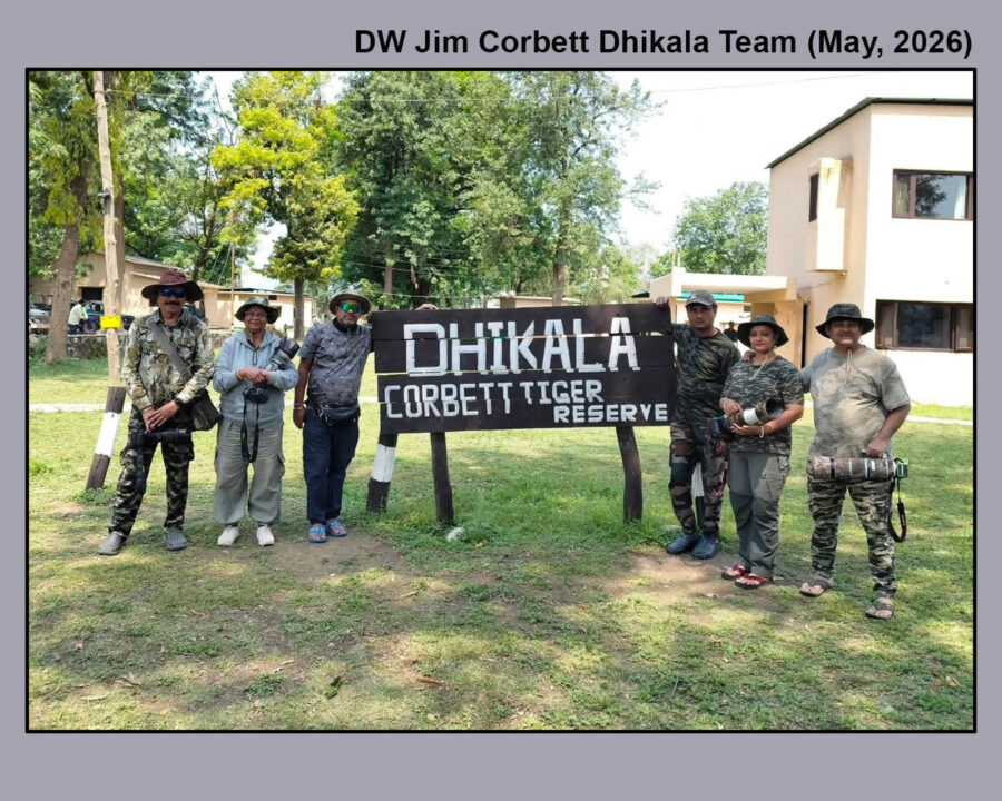 Jim Corbett Dhikala Wildlife Photography Tour (5 – 9 May, 2026)