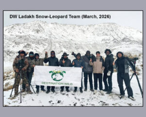 Snow Leopard, Destination Wild