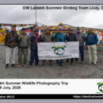 Ladakh Birding, Destination Wild