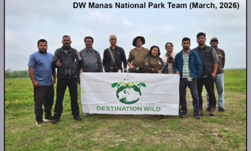Manas National Park Wildlife Photography Tour (29 March – 1 April, 2026)