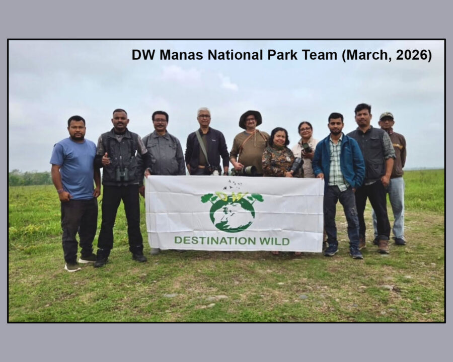 Manas National Park Wildlife Photography Tour (29 March – 1 April, 2026)