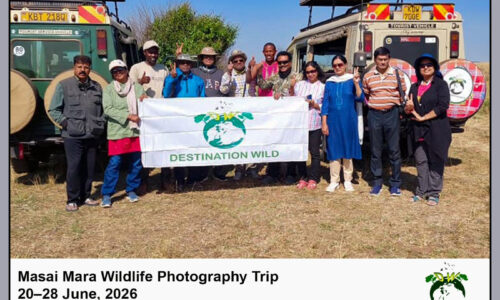 Masai Mara, Kenya Wildlife Photography Tour (21 – 29 June, 2026)
