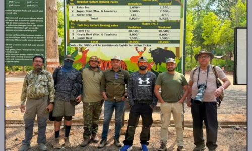 Pench Tiger Reserve Wildlife Photography Tour (6 – 9 June, 2026)