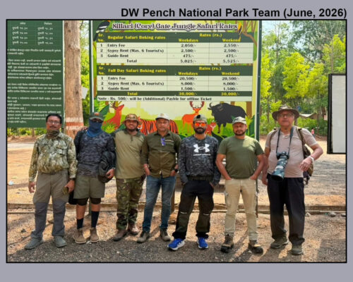 Pench Tiger Reserve Wildlife Photography Tour (6 – 9 June, 2026)