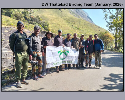 Thattekkad-Munnar Bird Photography Tour (16-22 January, 2026)