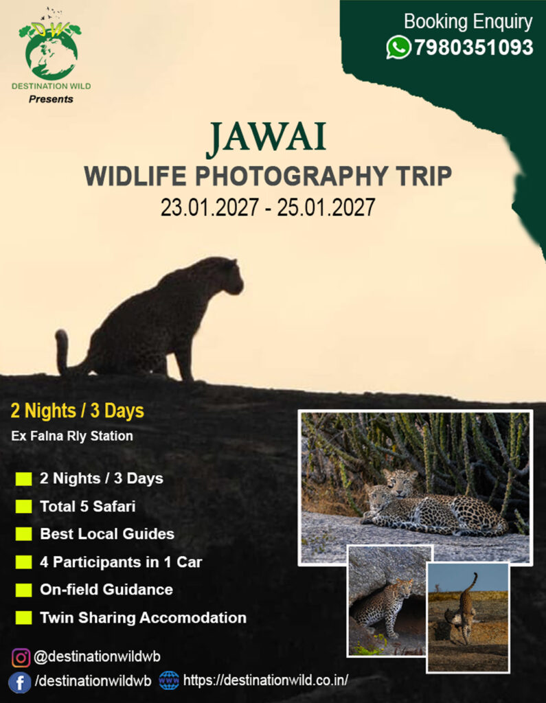 Jawai