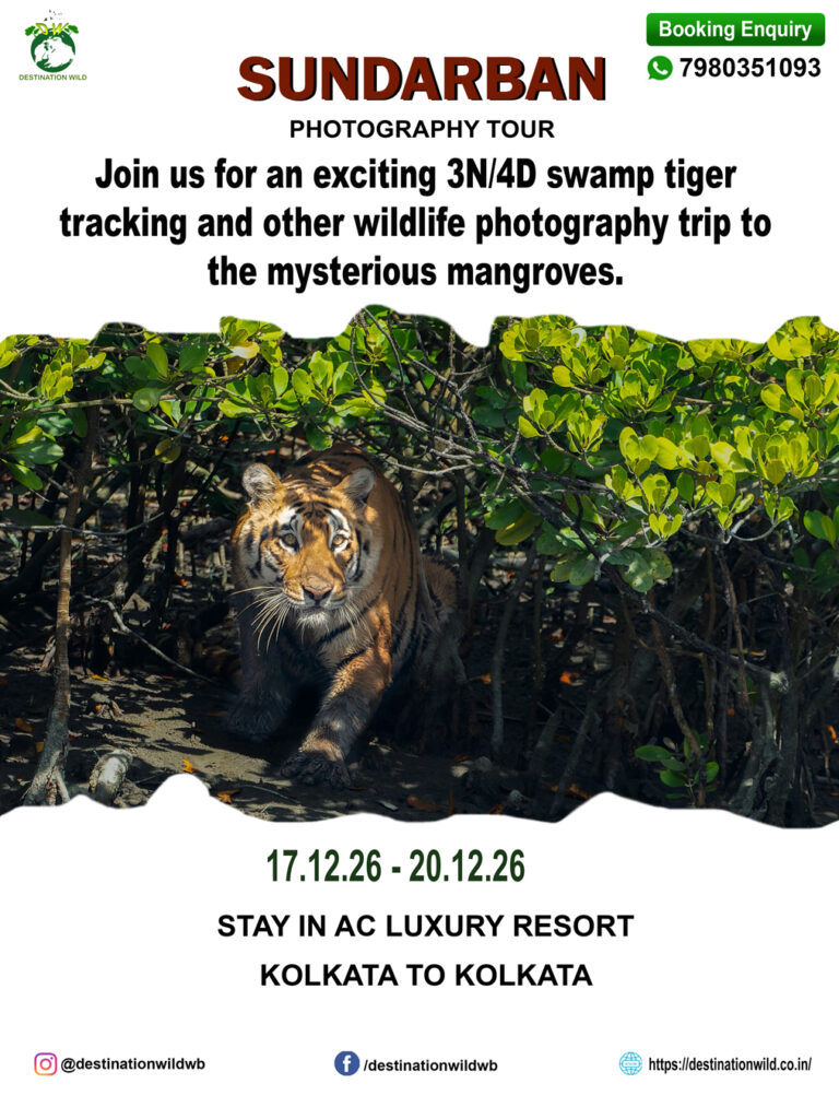 Sundarban