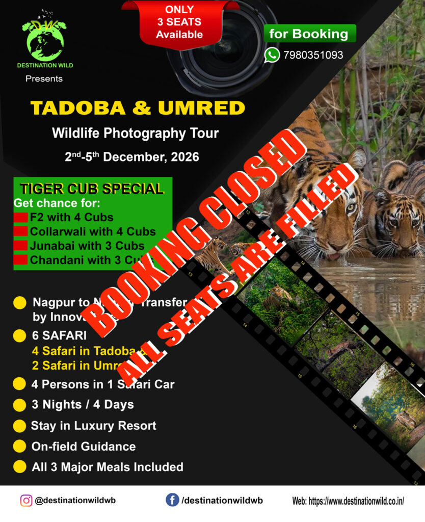 Tadoba