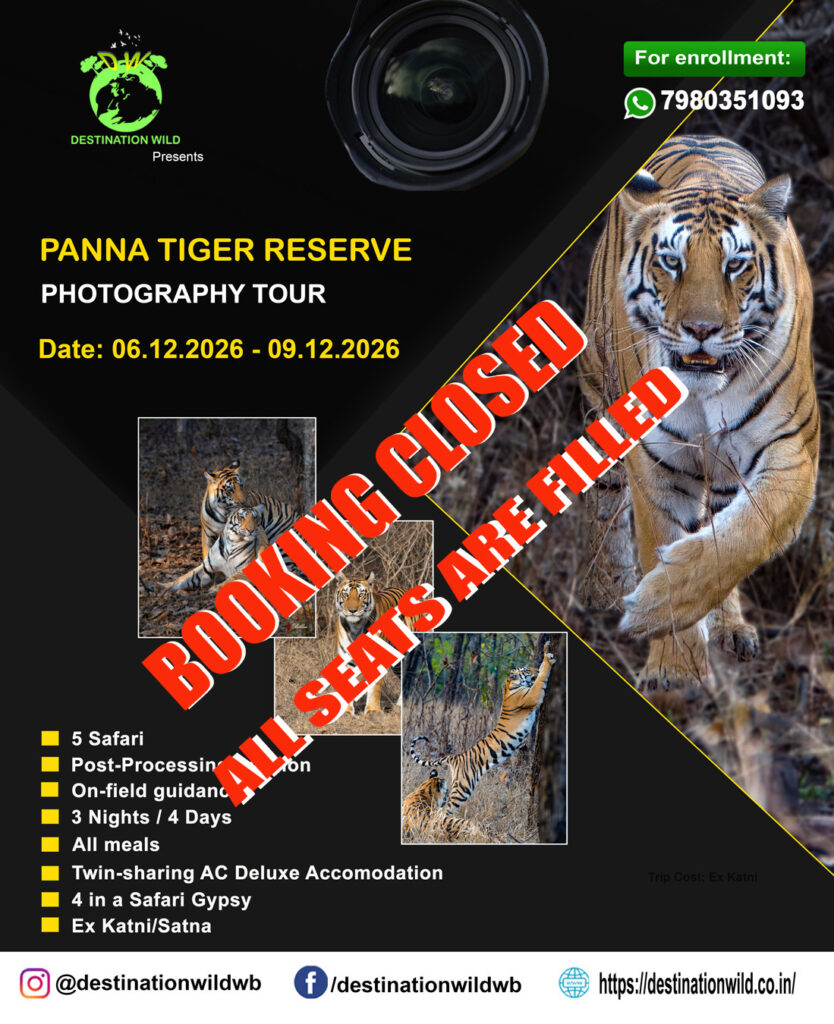 Panna